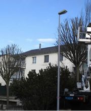 Schild Gartenbau AG Bild 7