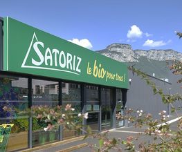Satoriz image 6