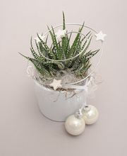 Gartencenter A-Z Velbert GmbH Bild 6