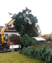 Presset Transports SA Bild 2