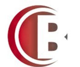 B Consulting image 1
