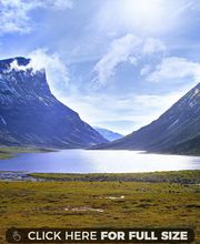 Casaucau Alice image 1