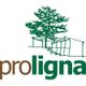 ProLigna ökologischer Holzbau GmbH