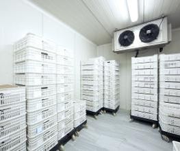 Frilotec imagen 2