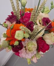 Tendance O' Naturelle image 12