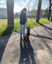 Dog & Picture image 11