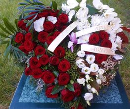 Flowers image 13