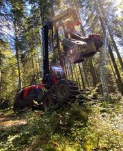 Passion Forêt SA Bild 3