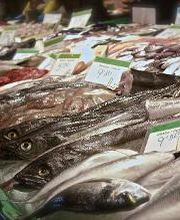 Peixateríes Martí imagen 5