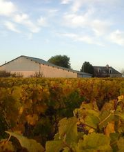 Papin Anthony EARL image 7