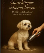 Screenshot 2025-10-23 172704.png