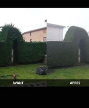 Brac José Elagage Abattage 18 image 17