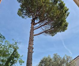 Sannier David Espaces Verts image 7