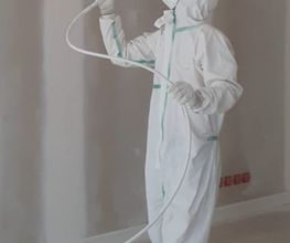 Full Paint image 3