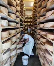 Fromagerie de Chambéry image 7