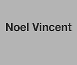 Noel Vincent image 2
