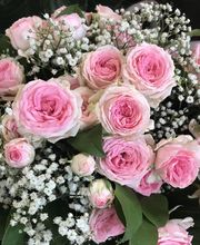 A La Fleur De Clémentine image 9