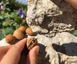 Borgo Monacizzo B&B immagine 6