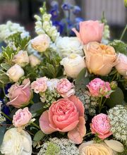 Bell and Trunk Flowers image 6