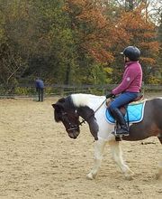 L.deRham Equitation Bild 3