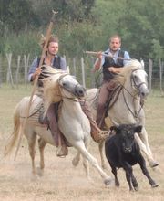 Manade Tournebelle image 3