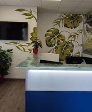 Gallery Cliente