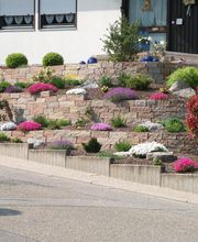 Bräuninger GmbH Garten- und Landschaftsbau Bild 15