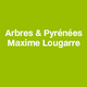 Arbres & Pyrénées Maxime Lougarre