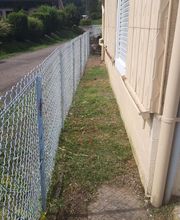 Entretien paysager image 6