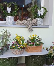 Blumen und Pflanzen Bild 2