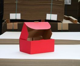 Gallery Cliente