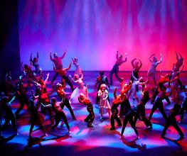 Verein TDC dance company & school Bild 7