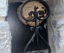 LRL 3D image 3