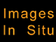 Images In Situ