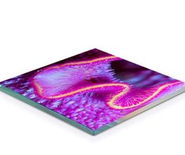 Acrylglasbilder: Brillanz und Tiefenwirkung