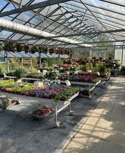 Gärtnerei Vogel Bild 3