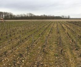 Jumert Françoise image 3