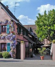 Le Marronnier image 6