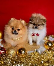 El Edén de Lilith imagen 7