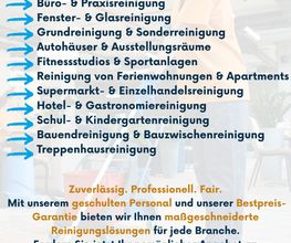 INFO ZU CLEANTEVO.png