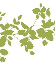 Scenes de Jardin image 14
