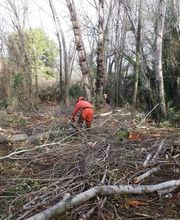 195098439-1-4PAluZ17Qc1782194353782.jpeg