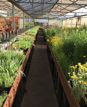 Baumschule Popp Bild 5