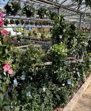 Gärtnerei Vogel Bild 4