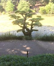 Granger Stéphane image 6