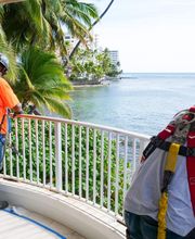 Seal Masters of Hawaii image 6