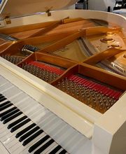 Fallone Music image 14