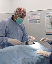 centro veterinario azuqueca imagen 20