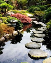 Lestang Schlegel Marie-Odile image 5