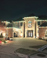 NEON Monkey Tree Services image 3